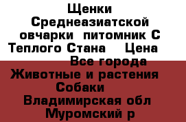 Щенки Среднеазиатской овчарки (питомник С Теплого Стана) › Цена ­ 20 000 - Все города Животные и растения » Собаки   . Владимирская обл.,Муромский р-н